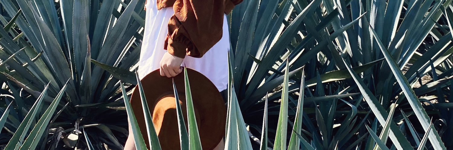 micheelgtz's profile banner image