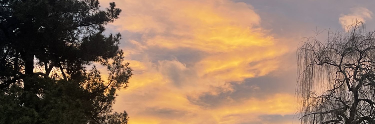 AnaDupper's profile banner image