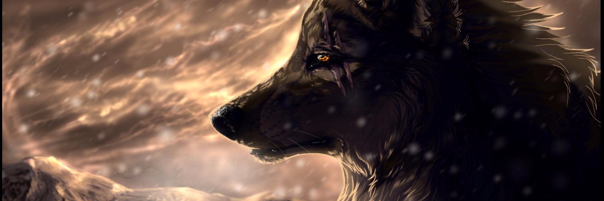 lDagonl's profile banner image