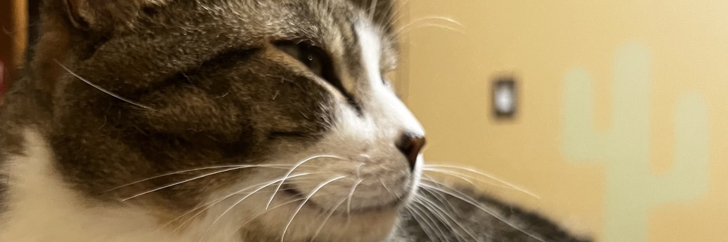 Trevor_Kee's profile banner image
