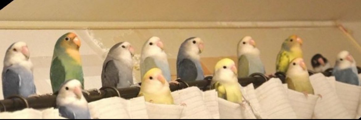 MostValuablPrsn's profile banner image