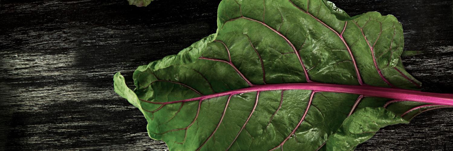 ExquiLuxe's profile banner image