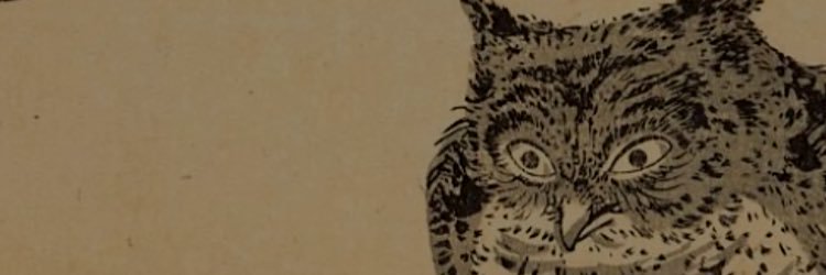 RobinDunkerley's profile banner image