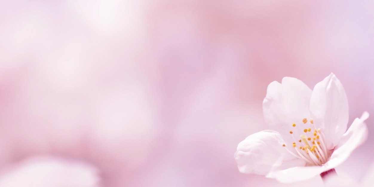 JenniferTorrezH's profile banner image