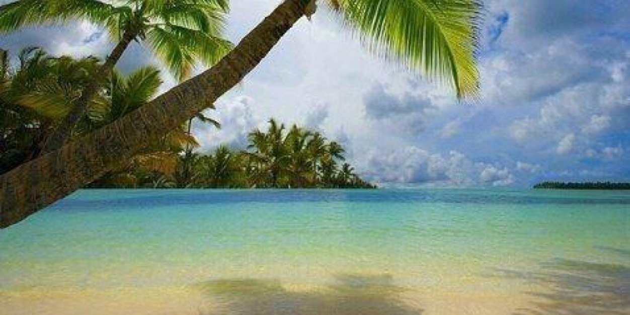 carecarrillo's profile banner image