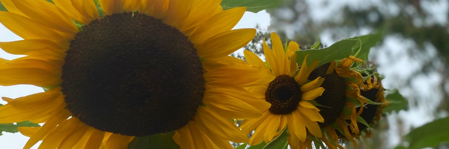 Jeremy_Atkinson's profile banner image