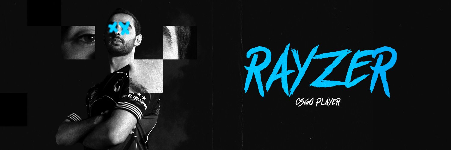 RayZer banner