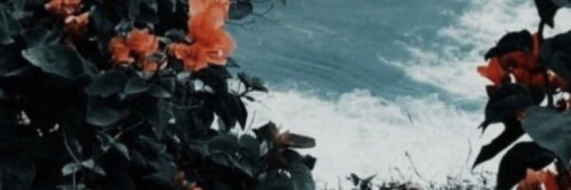 ginnyfromtb's profile banner image