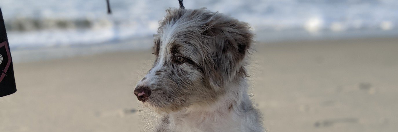 Mr. Jeff Friedland banner