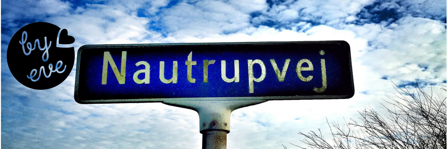 2010EvaNautrup's profile banner image