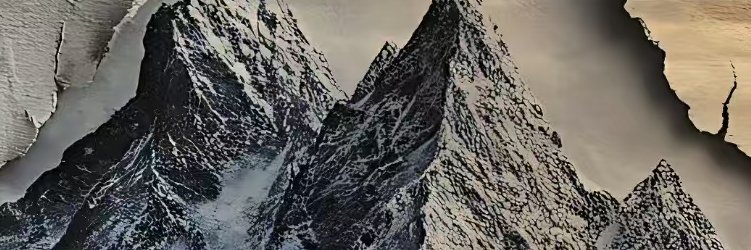 wesnkim's profile banner image