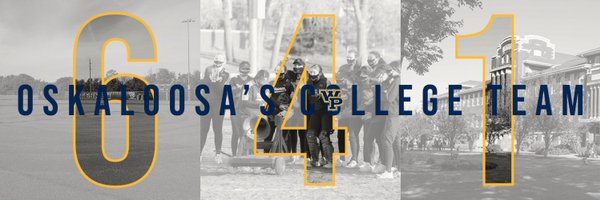 WPU_Softball Profile Banner