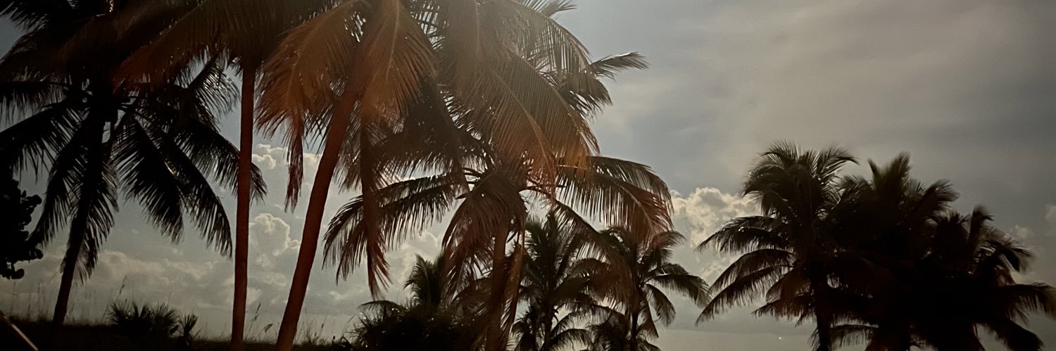 lezf3005's profile banner image