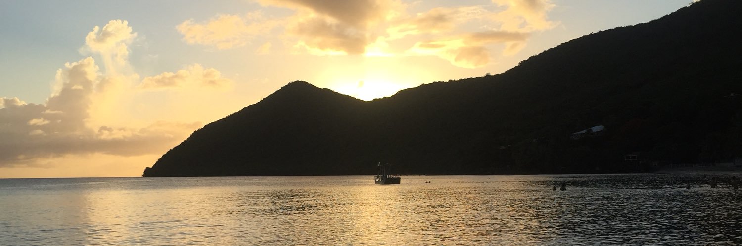 elon hate account banner