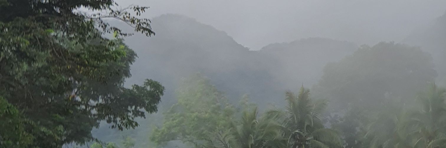 rafaeyyll's profile banner image