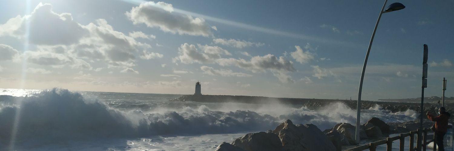sissonpetrovic's profile banner image