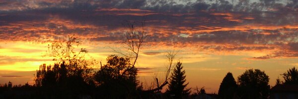 jorval91 Profile Banner