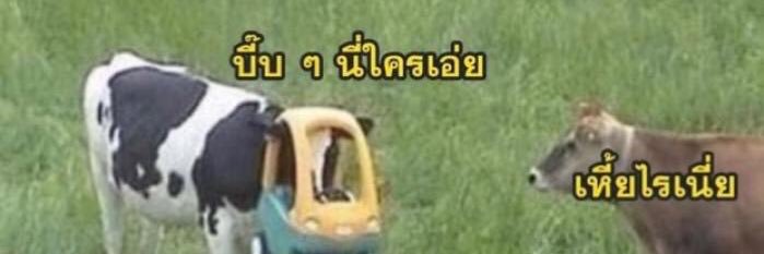 95MR_ONG's profile banner image