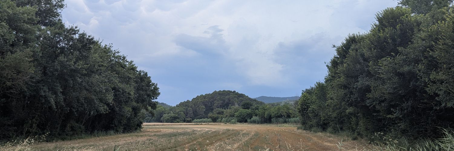 mserraf's profile banner image