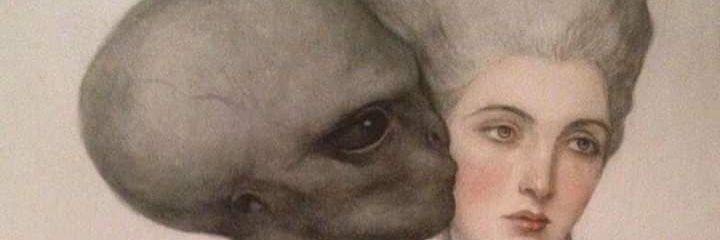 Fefis_panda's profile banner image