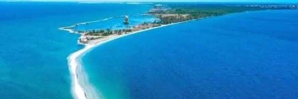 sandraselmasr Profile Banner