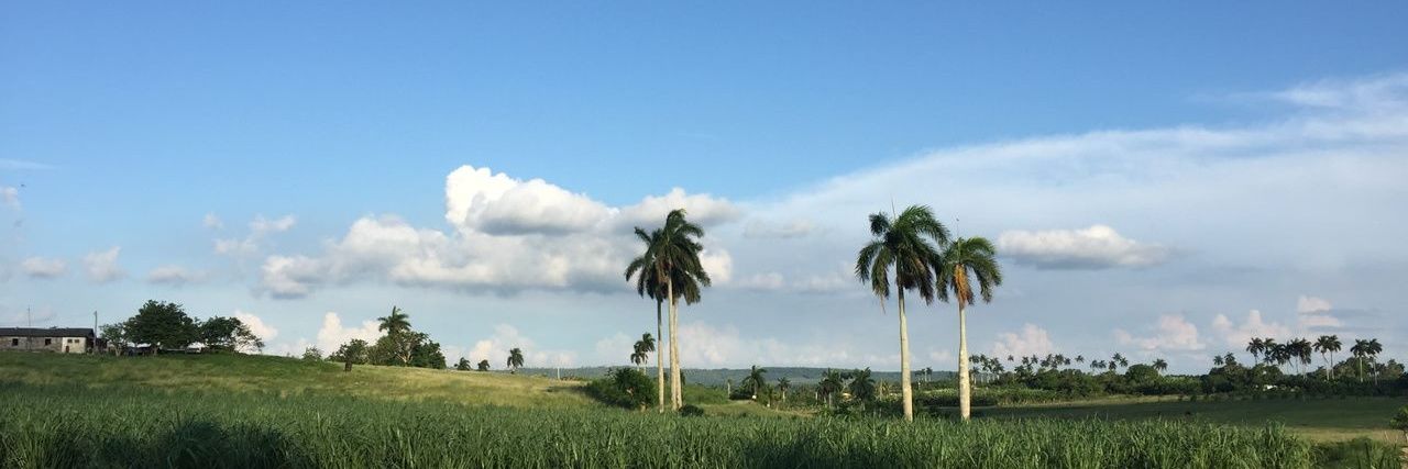 AMontero1994's profile banner image