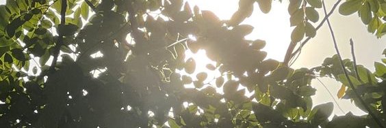 eighthwondrr's profile banner image