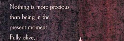 _SourceWellness's profile banner image