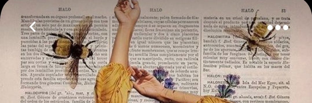KylanIsabella's profile banner image