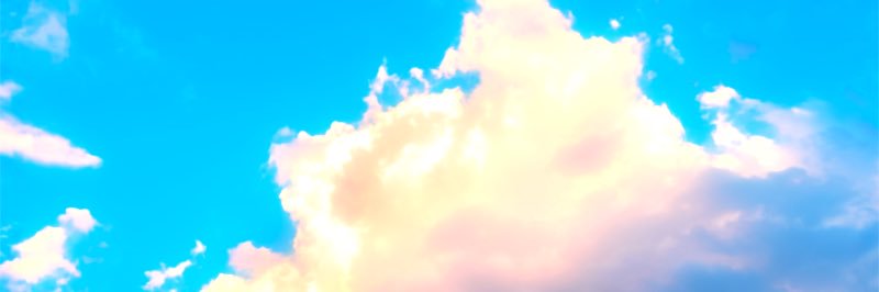neanderthalian's profile banner image