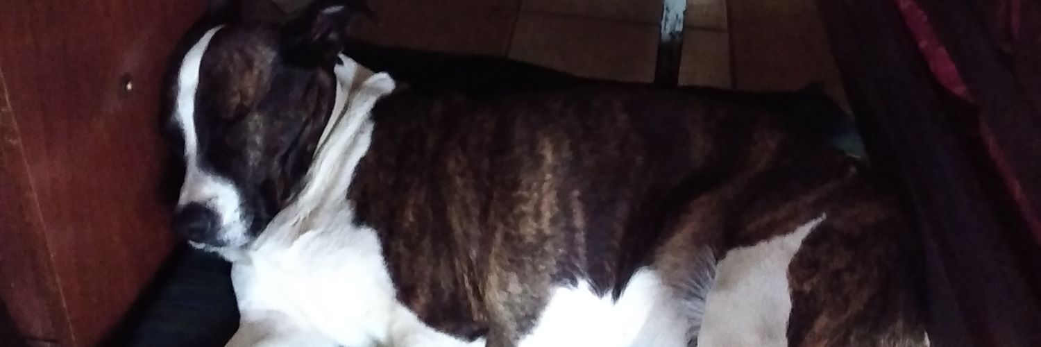 MariaLuuuzzz's profile banner image