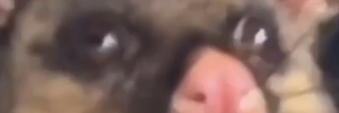Rileyfagan1's profile banner image