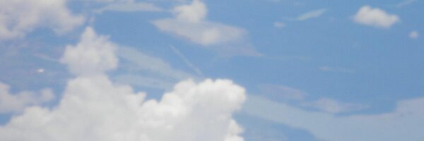 NancyKayNovak Profile Banner