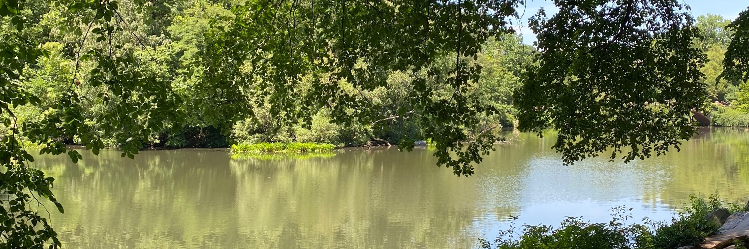 Vander Ritchie 🇺🇸🇱🇧 banner