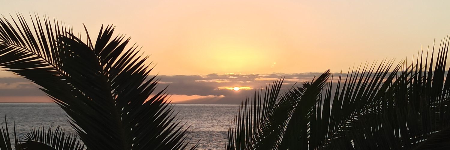 Mar_Ivars's profile banner image