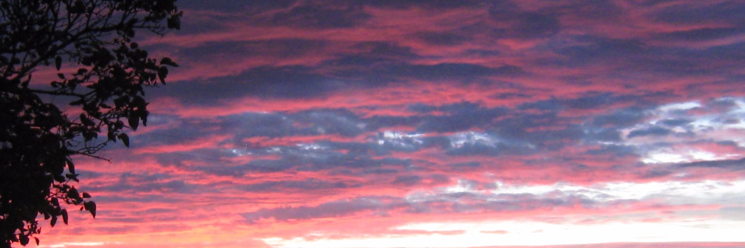Wildfan71's profile banner image
