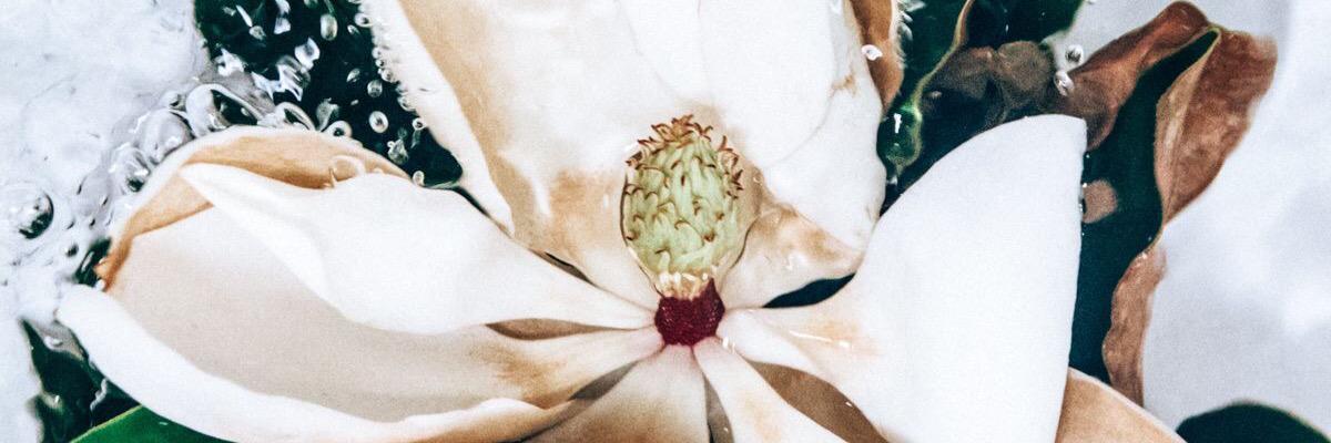turelur's profile banner image