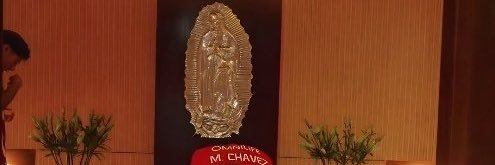 Whalleyismo🇲🇽 banner