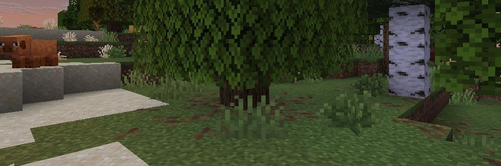 Juaneitor T.H. banner