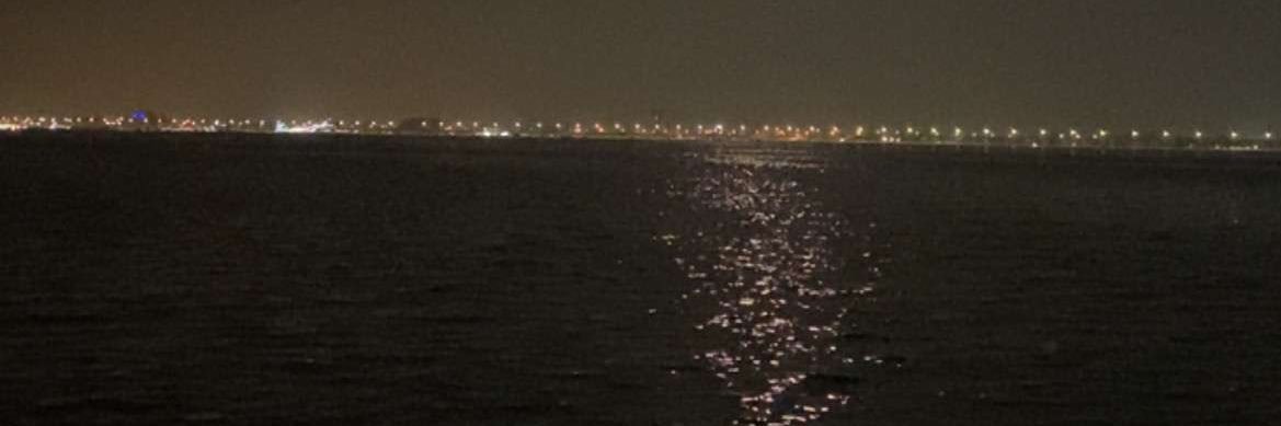 ل. banner