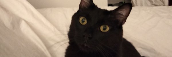 juliaalcaide3 Profile Banner