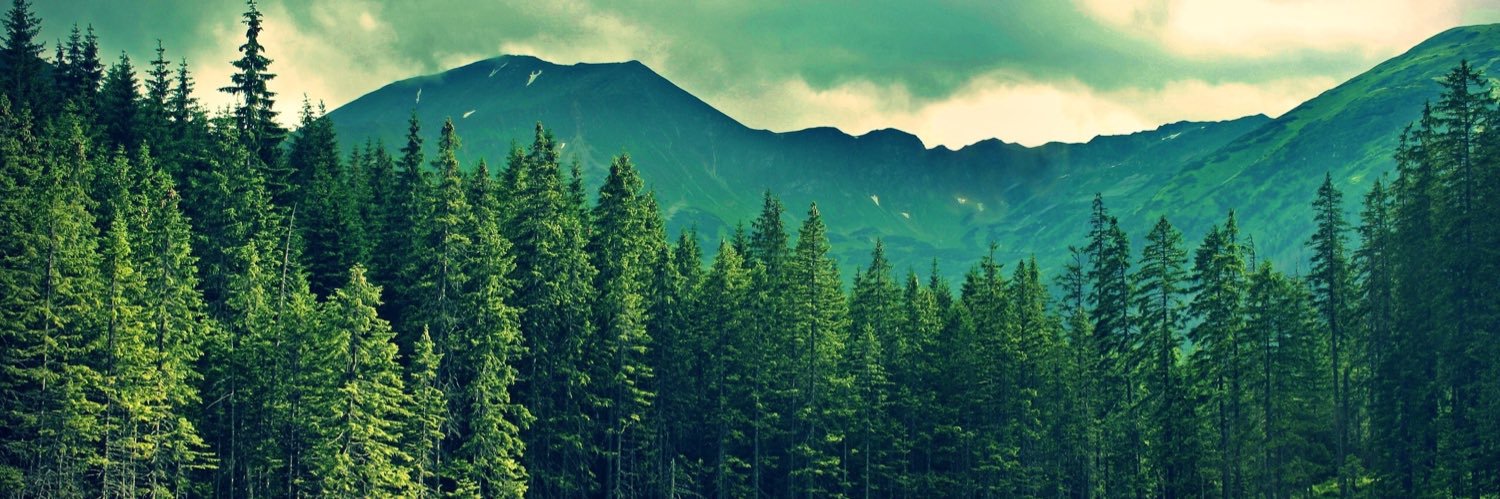 chickner's profile banner image