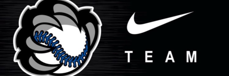 Baire Diamond Academy banner