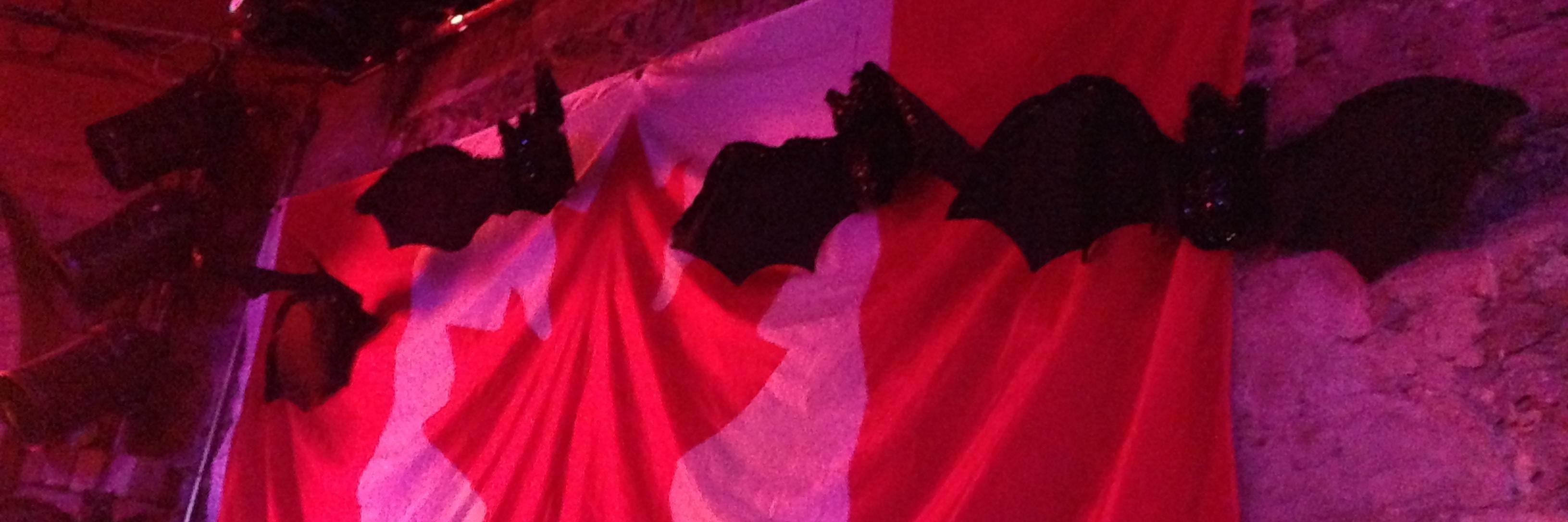 FallingCupcakez's profile banner image