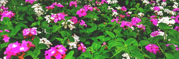 AmitavaAlmighty Profile Banner