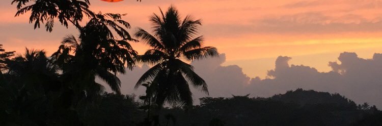 farisaasr's profile banner image