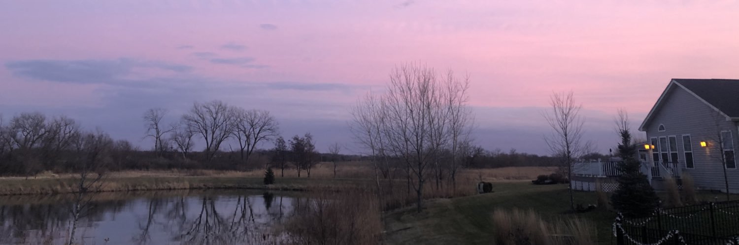 alyssaschechtel's profile banner image