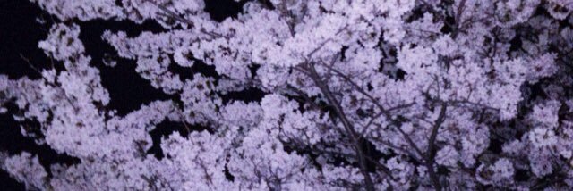kinutama's profile banner image