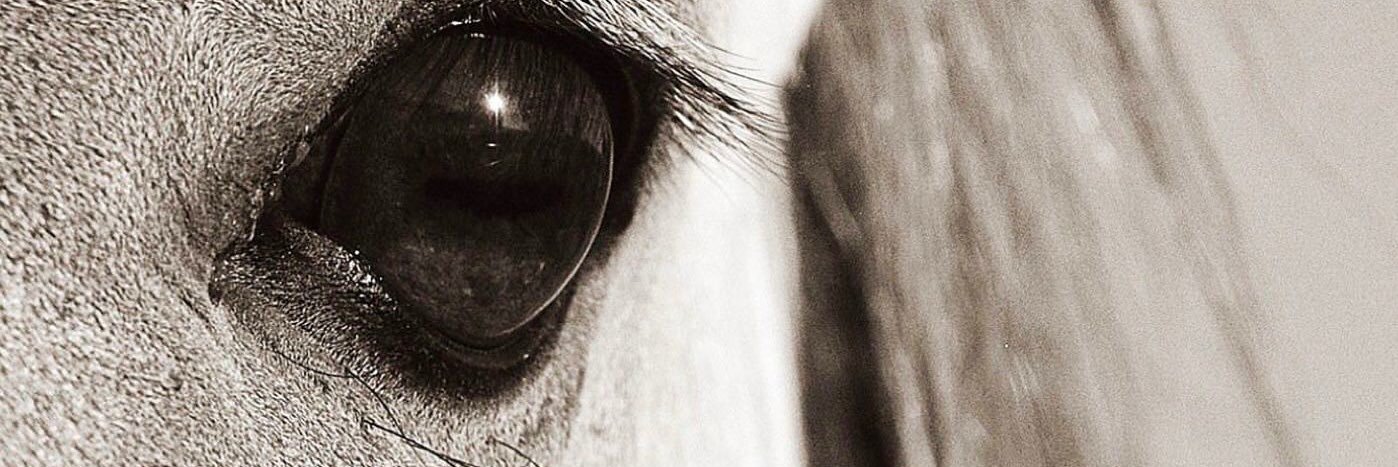 pati_trejo's profile banner image