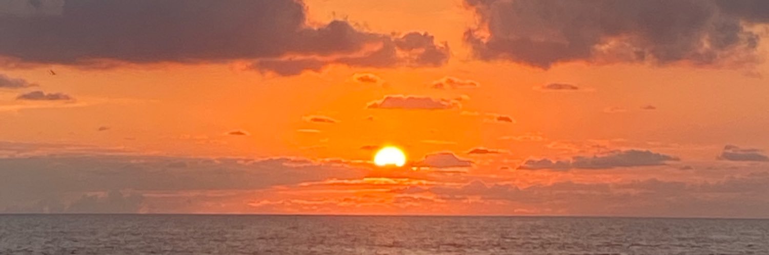 ariggamboa's profile banner image